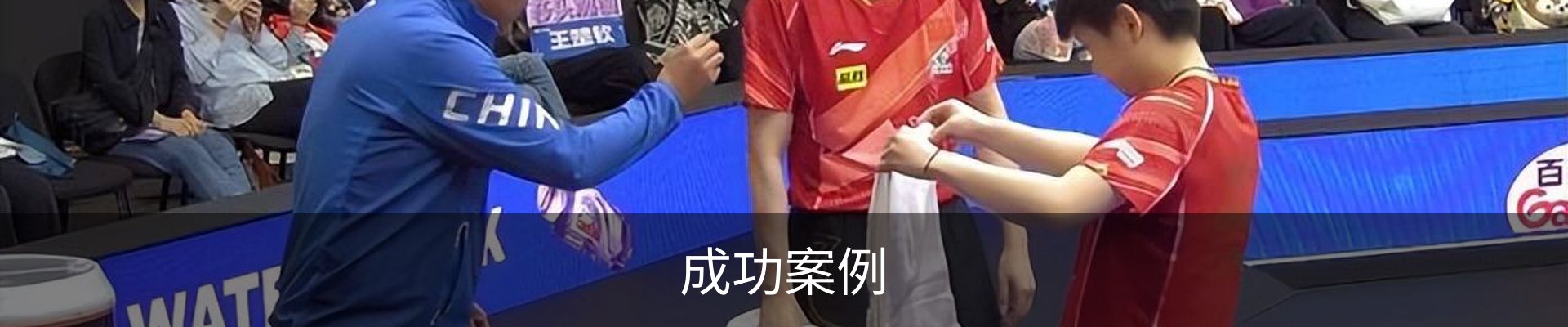 成功案例